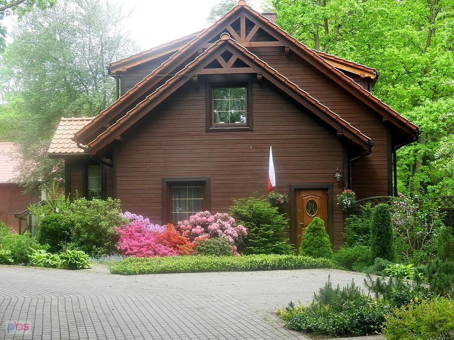 Dorodne kwiaty przy leśniczówce Tatynia.