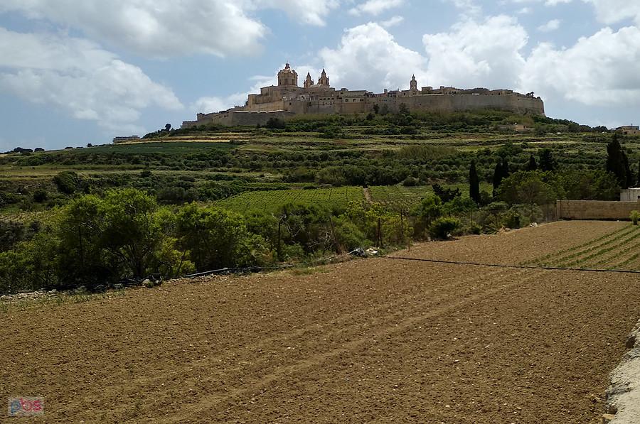 Mdina w oddali