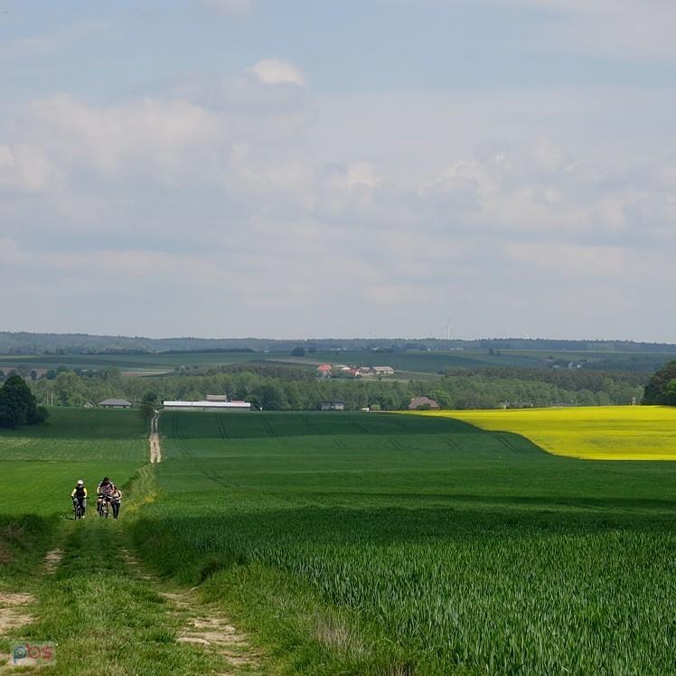 Pięknie tutaj