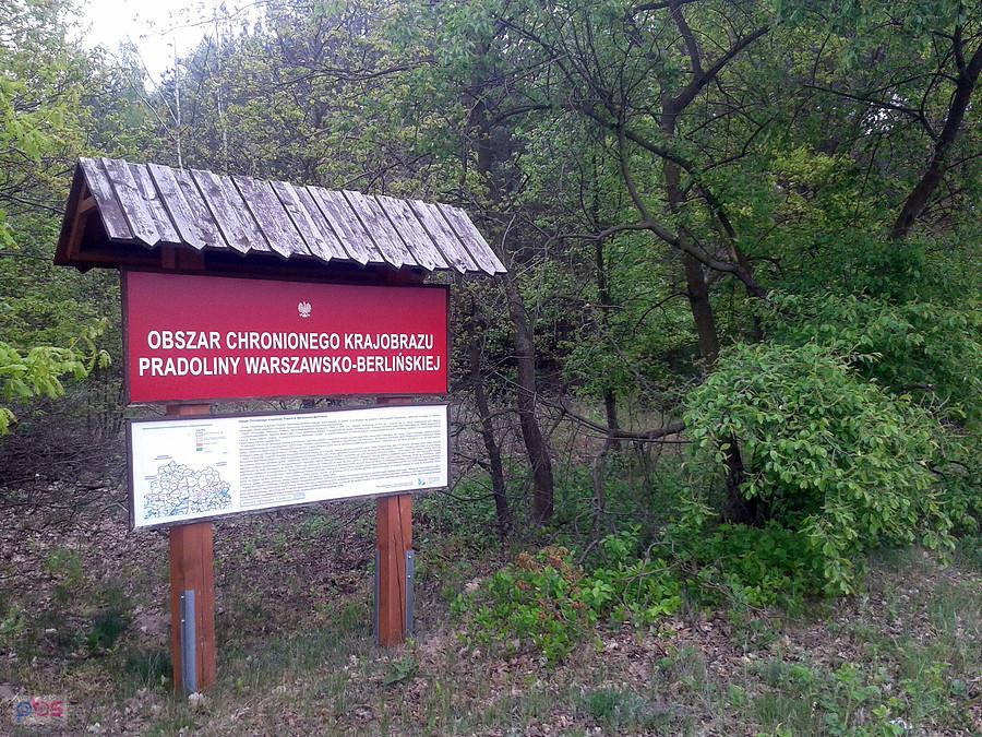 W kierunku Grabowa