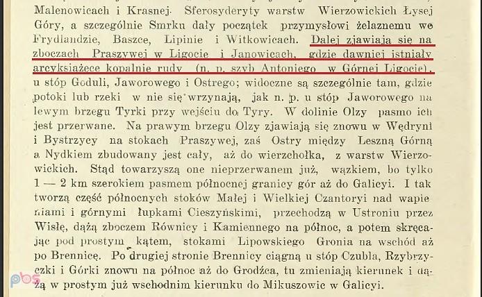 Z opisu (Buzek 1914)