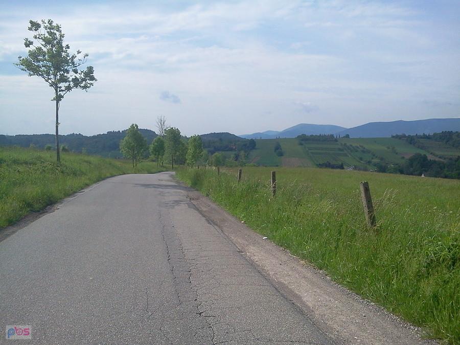 Do Puńcowa