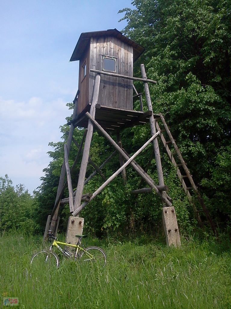 Pod Gołaźną