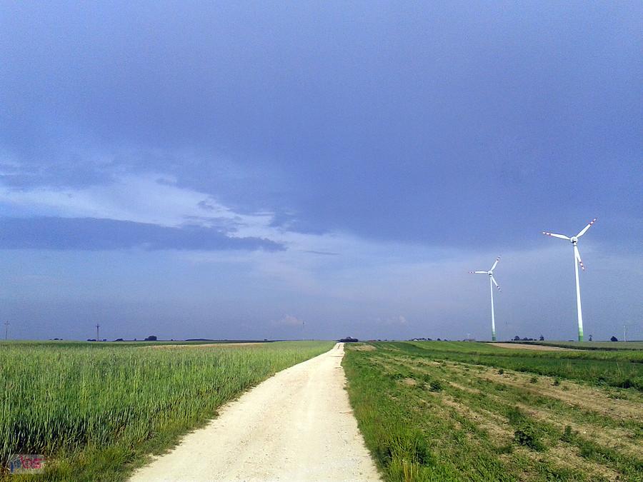 W drodze powrotnej