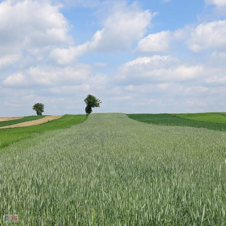 Okoliczne pagórki