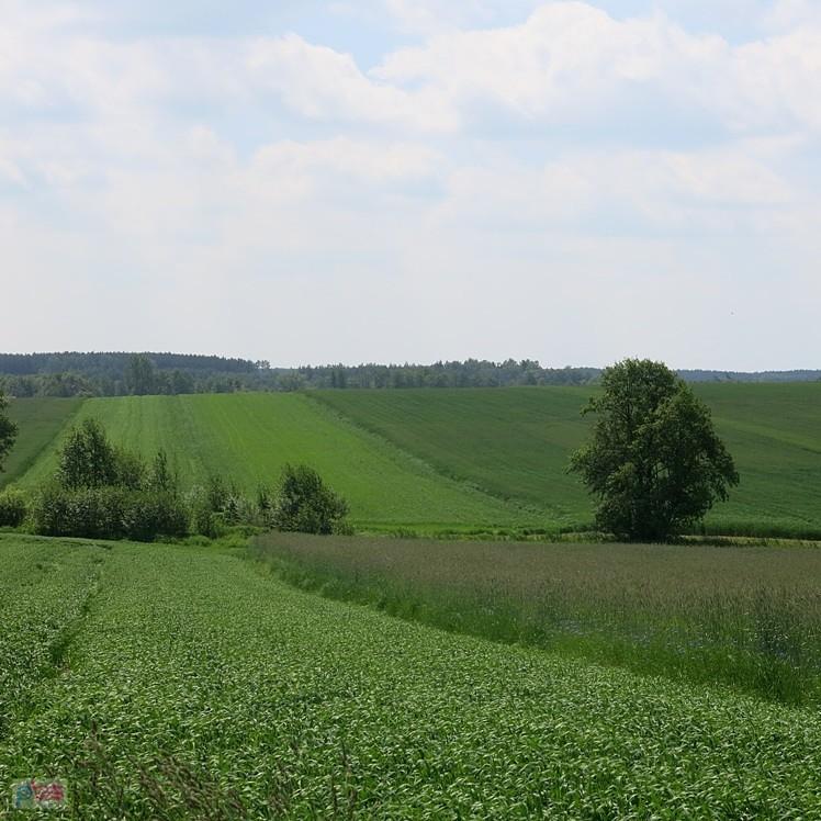 Pagórków bez liku