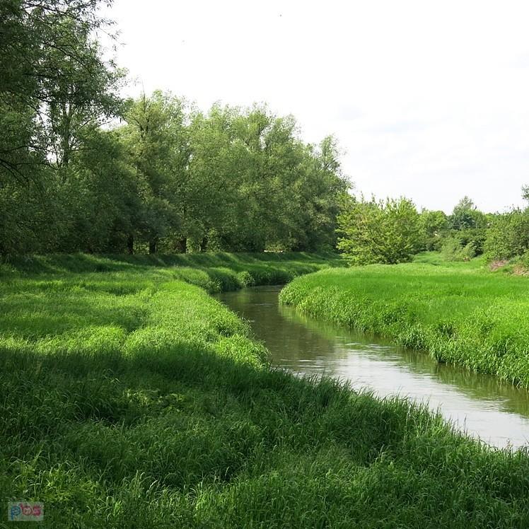 Tereny nad Wolbórką