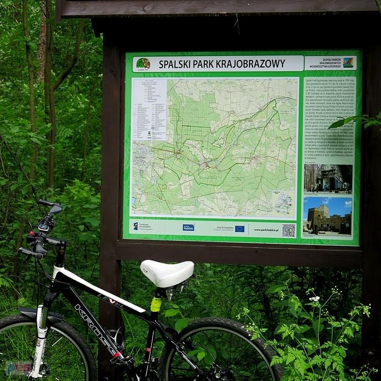 Przed tablicą w Spalskim Parku Krajobrazowym