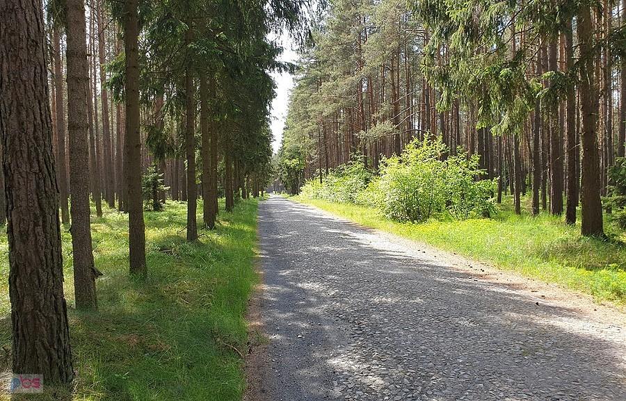 Dojazd pożarowy 40 - kierunek Wielgowo