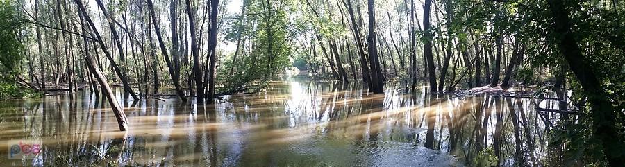 zalane Młociny