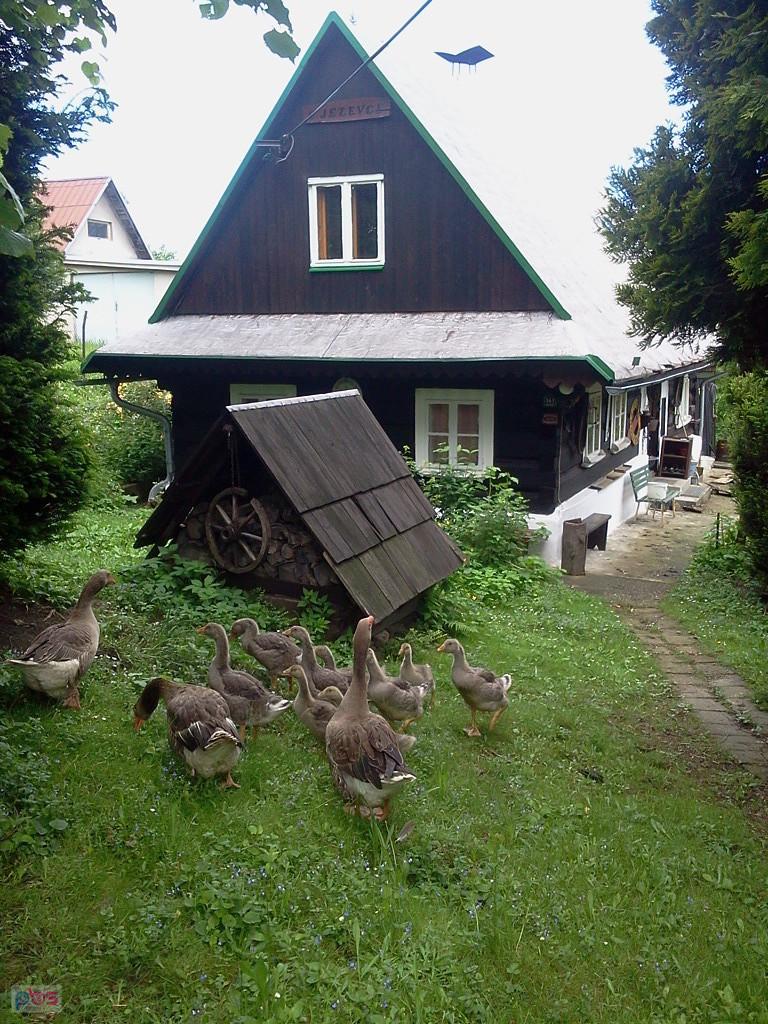 Chałupa na Bystrem