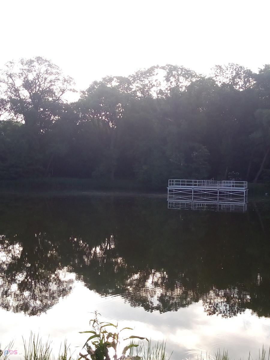 Staw w Ołtarzewie