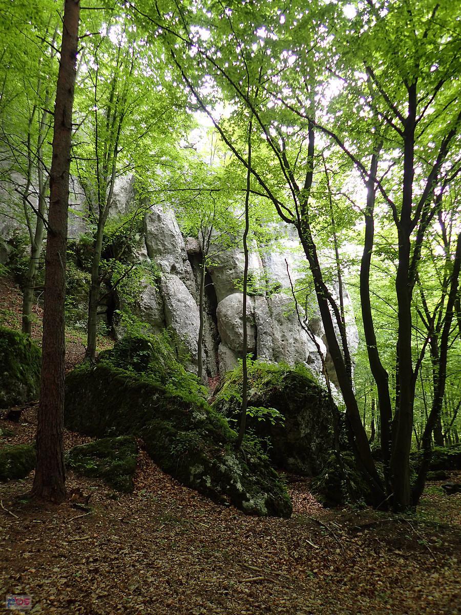 W Skałach Kroczyckich