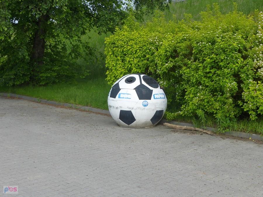 Ciekawy śmietnik