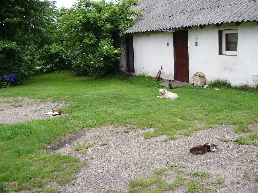 Przed jedną z posesji w Mzurowie