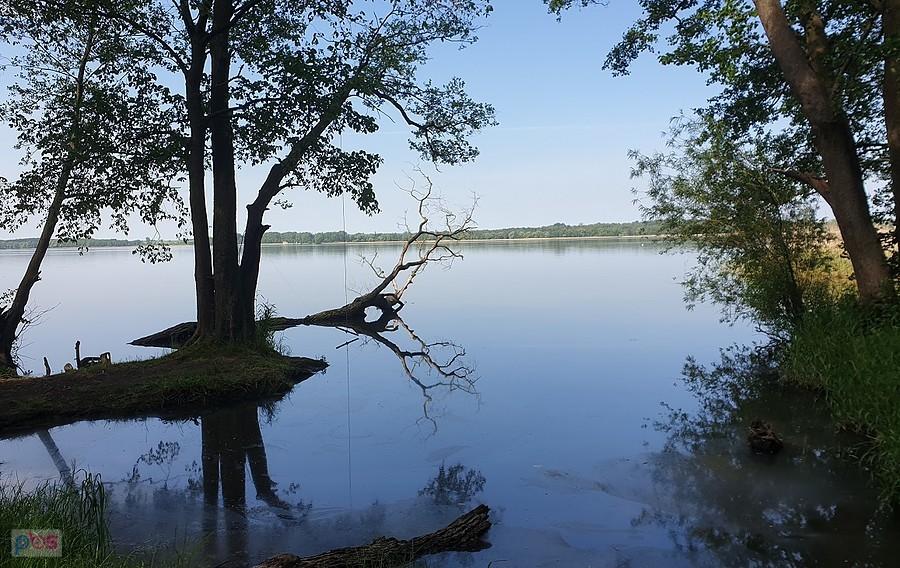 Jezioro Miedwie w okolicy Wierzchlądu