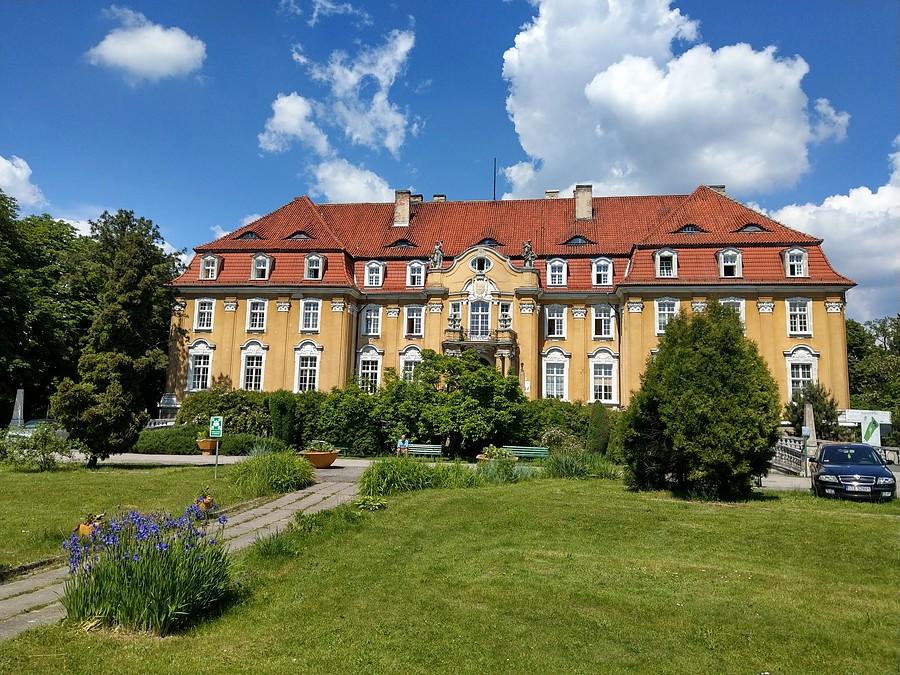 Kochcice
