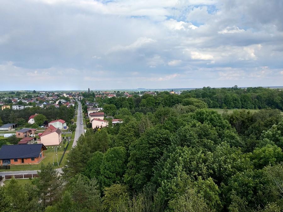 Widok z wieży