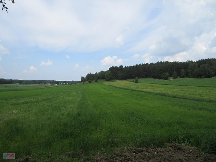 Widoczki w PKWŁ... gdzieś na szlaku