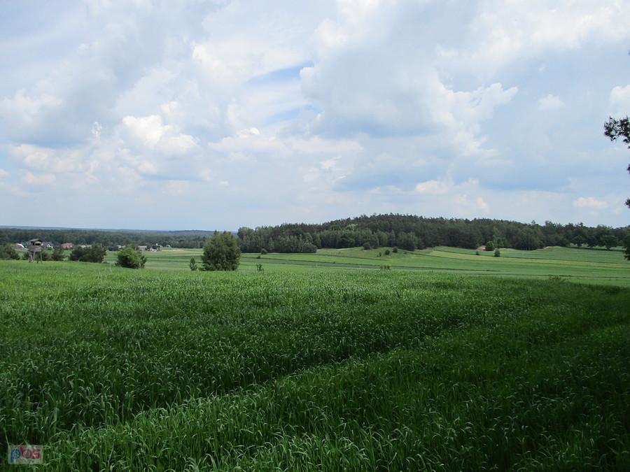 Też gdzieś na szlaku w PKWŁ