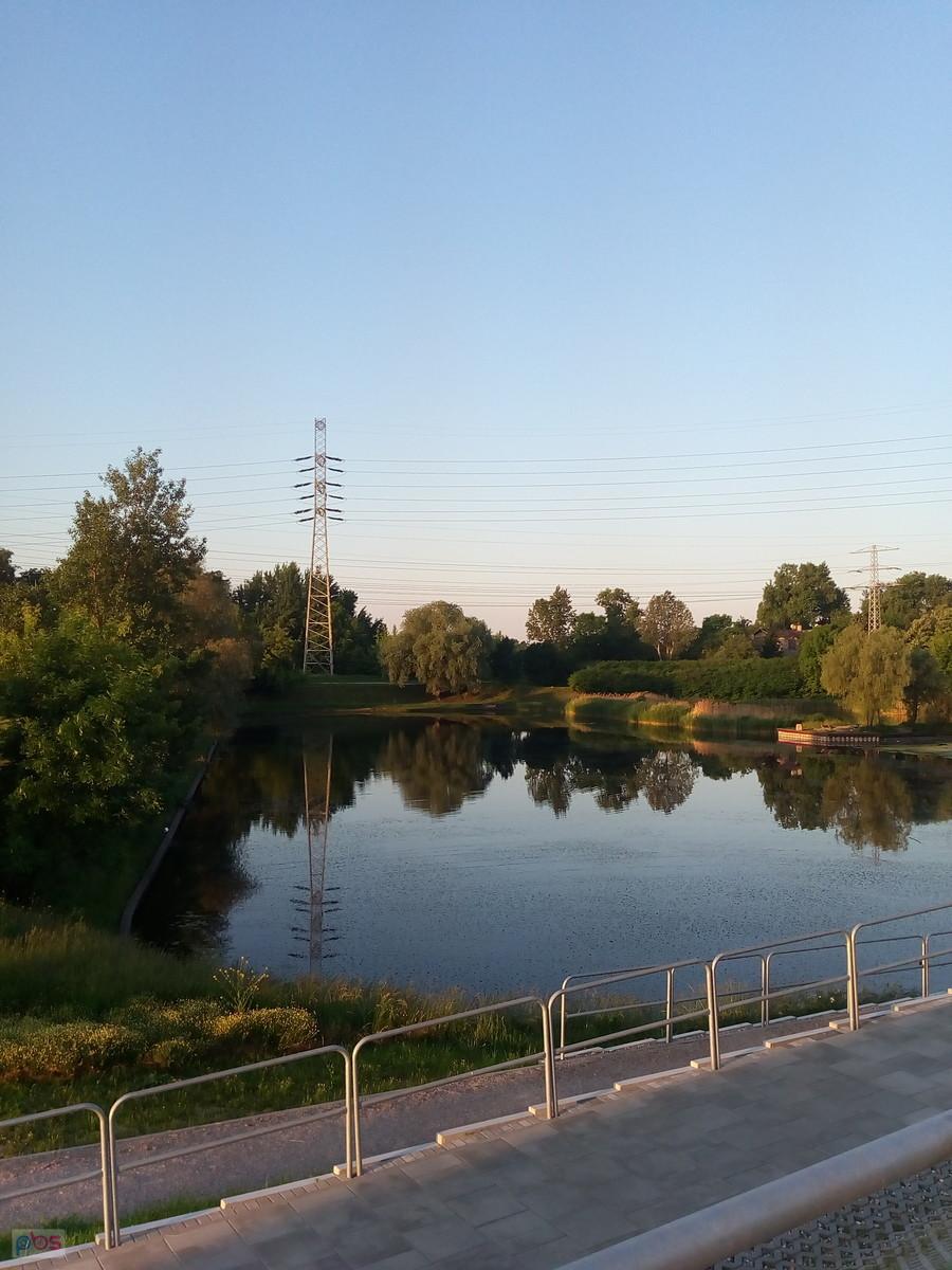 Obowiązkowo staw