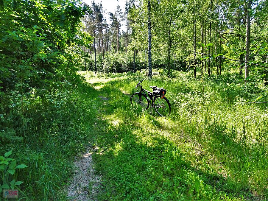 Rowerem po Kociewiu.