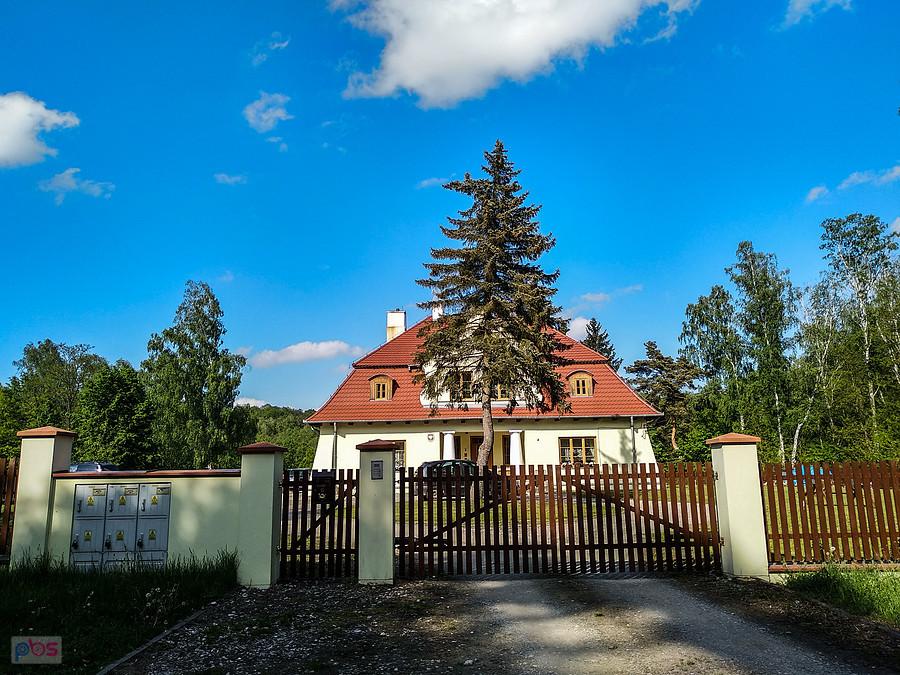 Leśnictwo Tadzin Nadleśnictwo Brzeziny