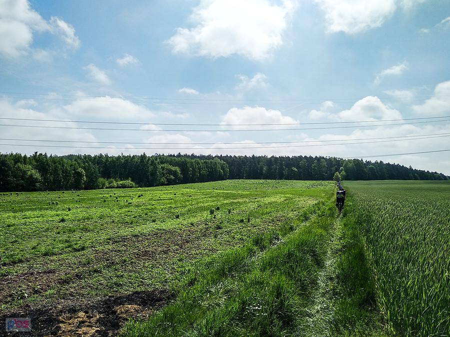 Czasami trawiaste ścieżki