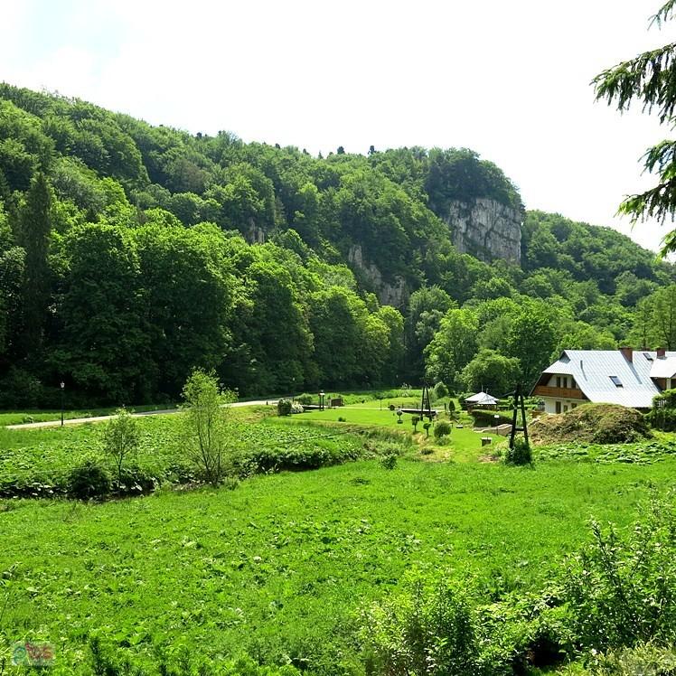 Widok roztaczający się z Ojcowa