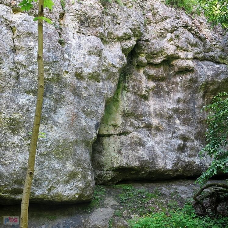 Dolina Bolechowicka