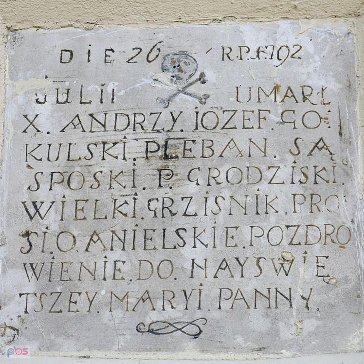 Czaszka 1 - Sąspów
