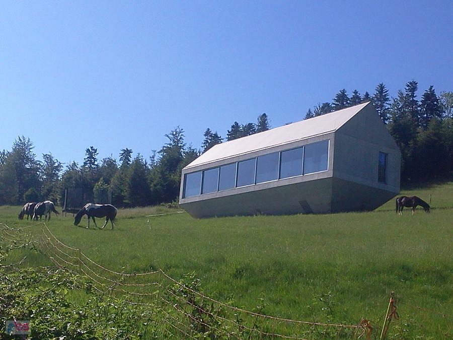 Doma Arka