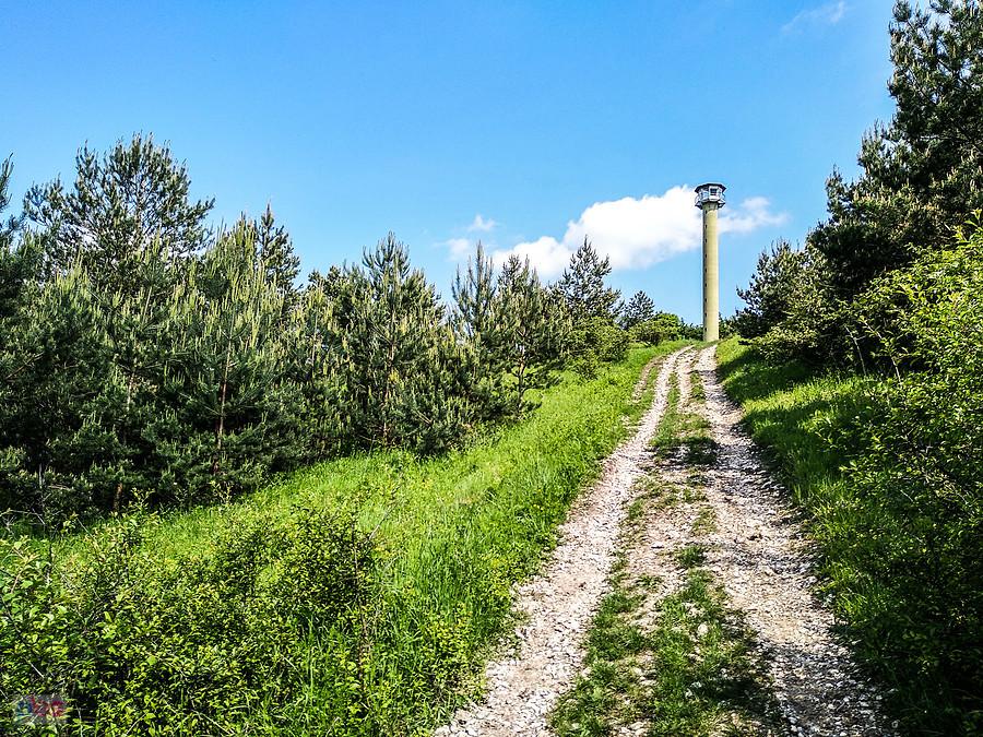 Wieża widokowa w Kluczach