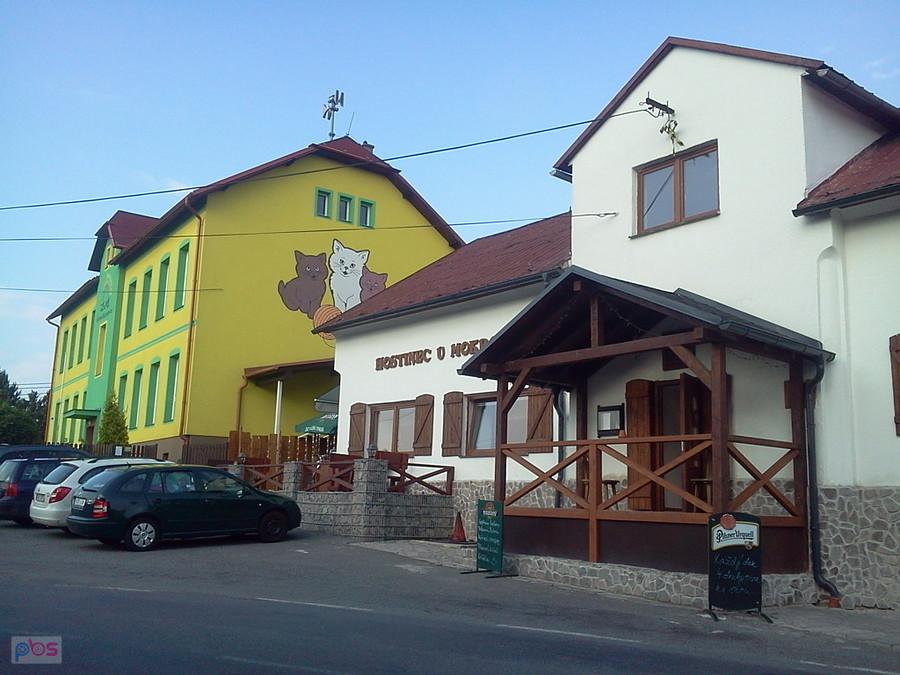 Błędowice