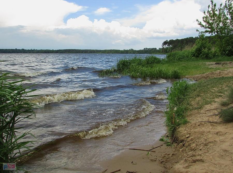 Przed burzą mocniej powiało