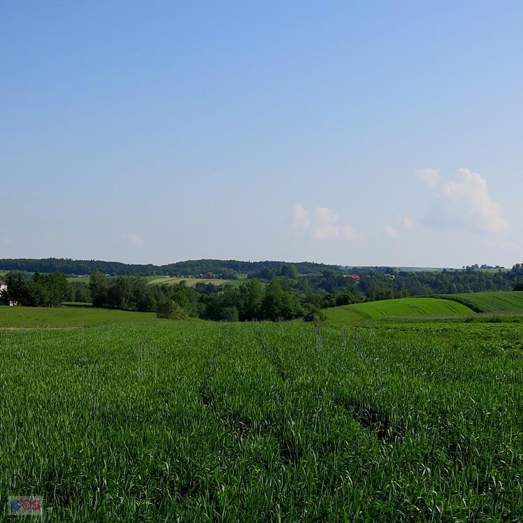 Dolinkowa panorama