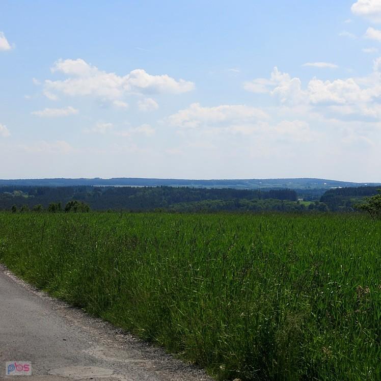 W pobliżu Torks