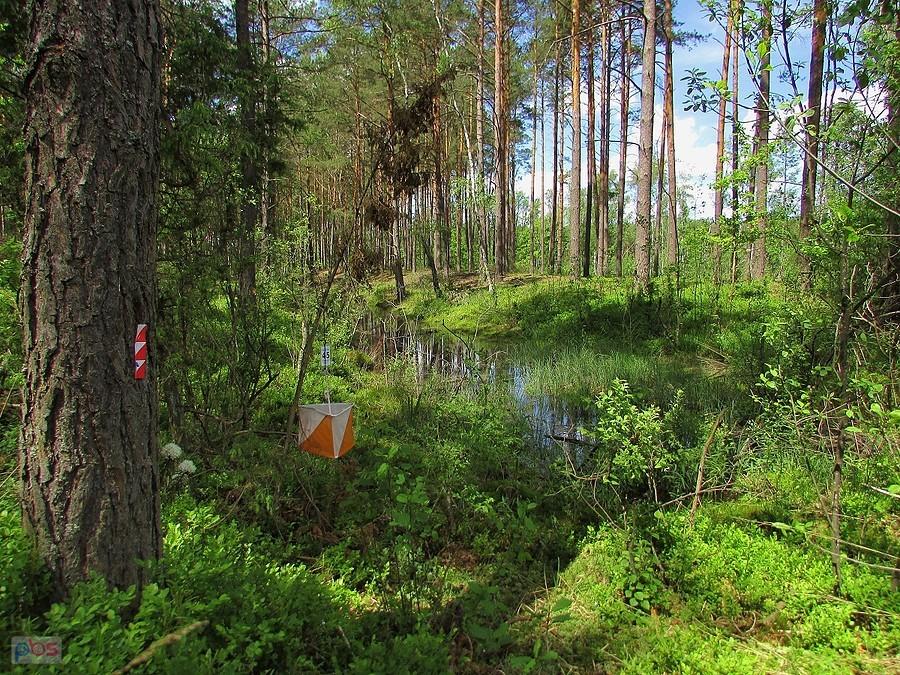 PK nr 45 położony w malowniczym miejscu