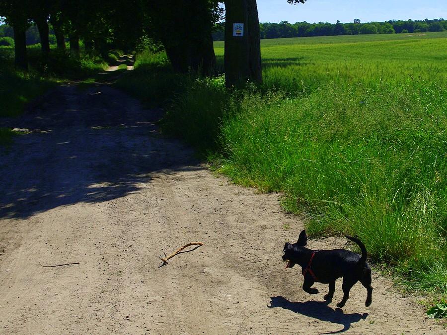 Na jednej nóżce - WPN
