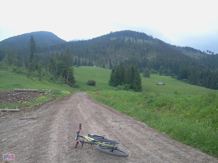 Ścieżka rowerowa
