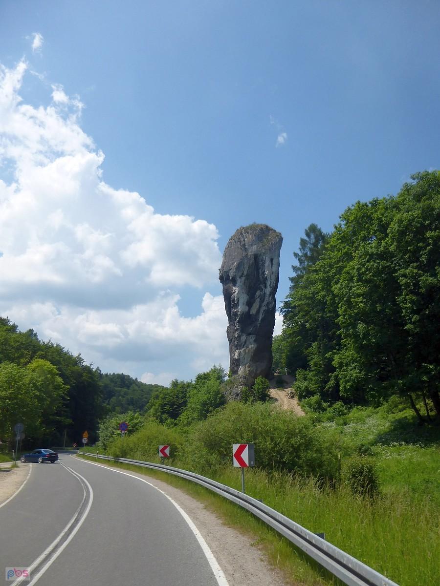 Maczuga Herkulesa