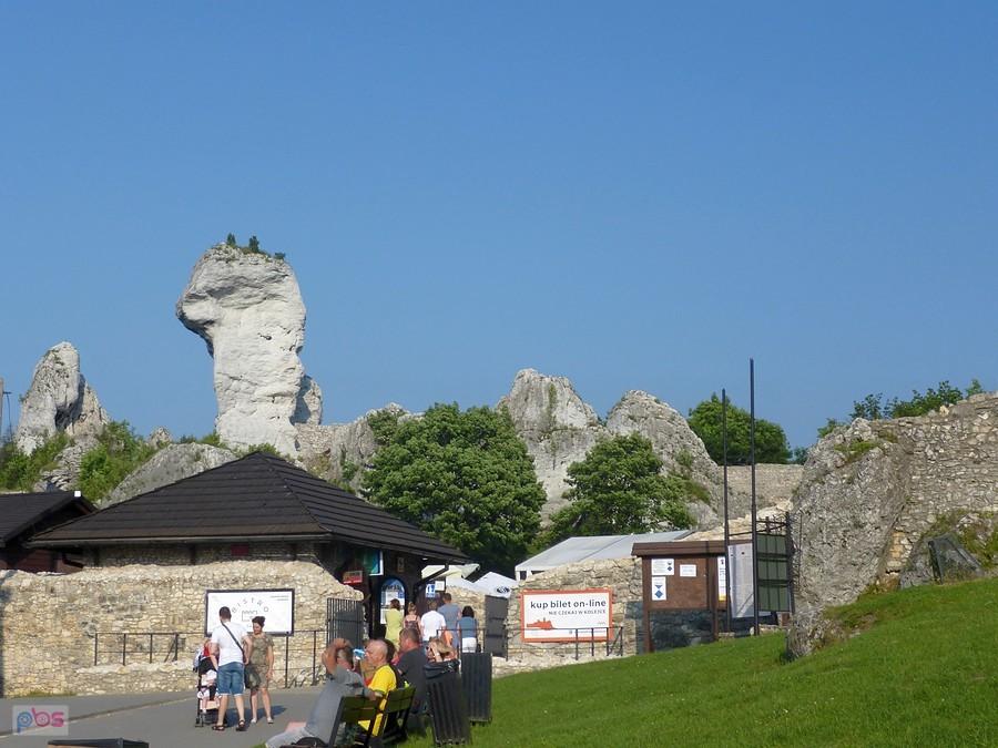 A wielbłąd leży