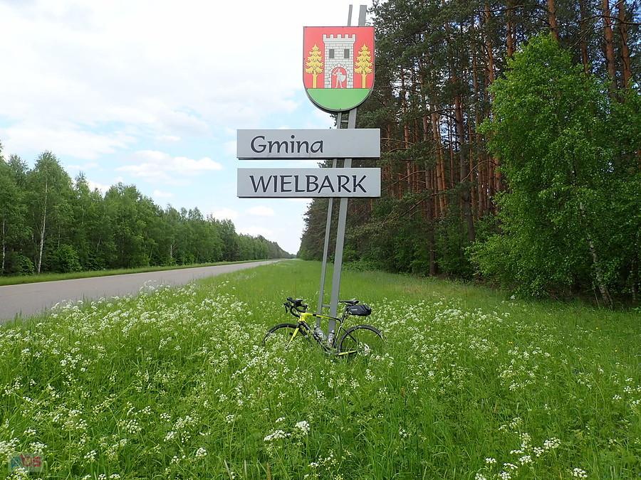 W gminie Wielbark