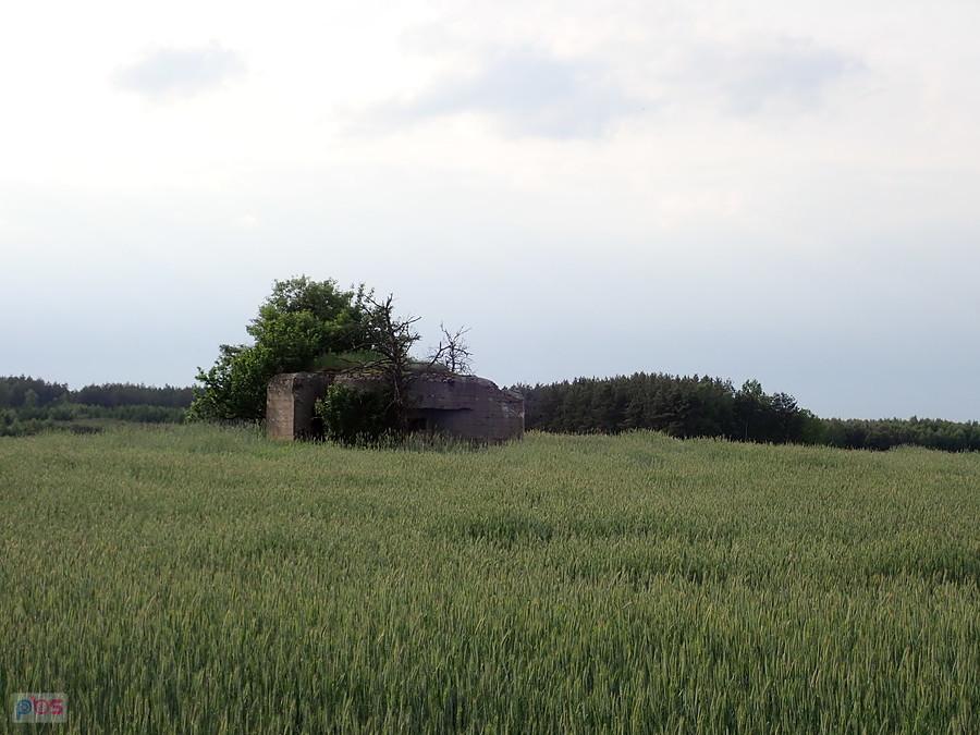 Schron w okolicach Mławy
