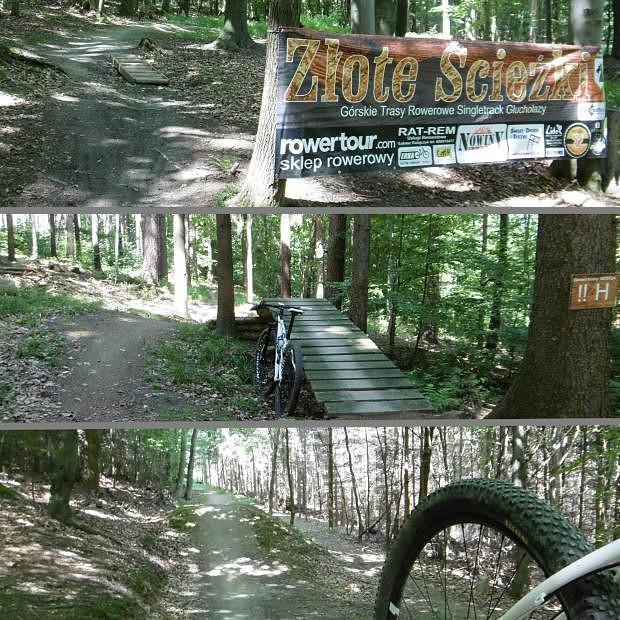 Na terenie Góry Parkowej "odkryłem" fajny singletrack do MTB