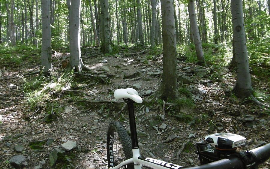 Hardkorowy zjazd zielonym po czeskiej stronie - PURE MTB