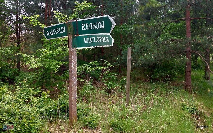 leśny drogowskaz ;)