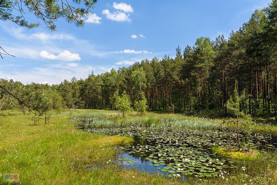 Bagno Korzonek