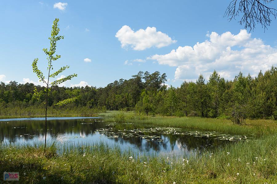 Bagno Korzonek
