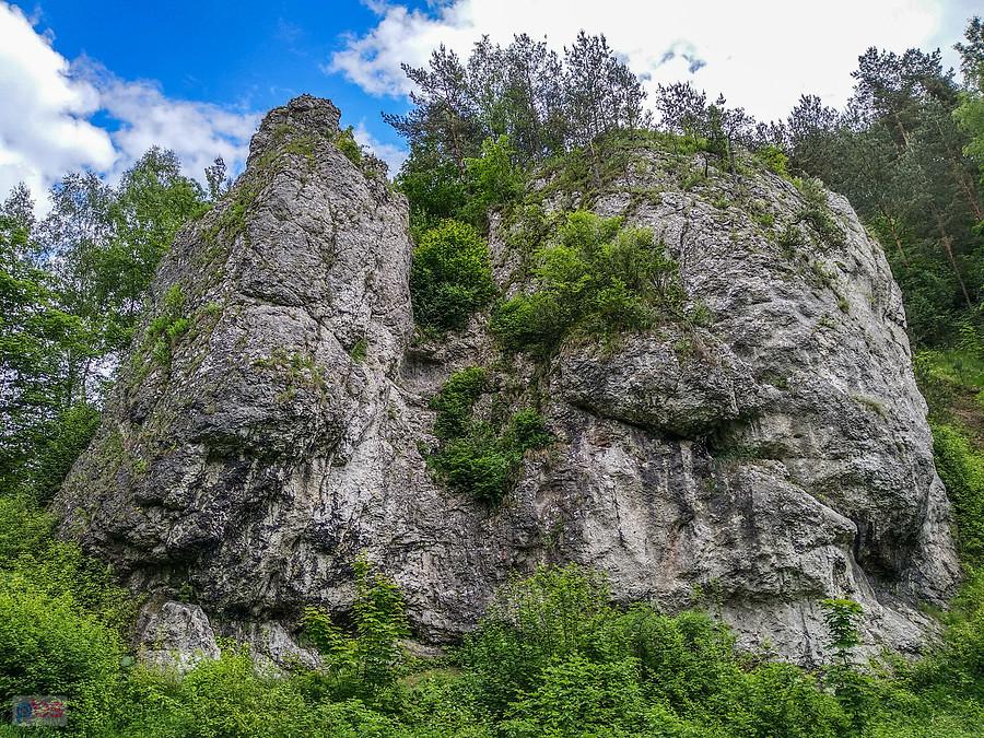 Skałki w dolinie Kobylańskiej